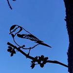 Metalbird
Pimpelmees